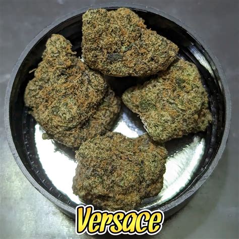 fresh baked versace|Strain Review!! (Versace by Fresh Baked) .